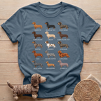 Dachshund Breed Chart T-Shirt