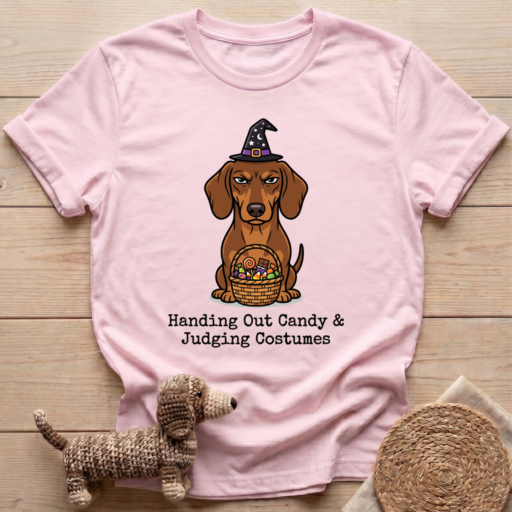 Judging Costumes T-Shirt