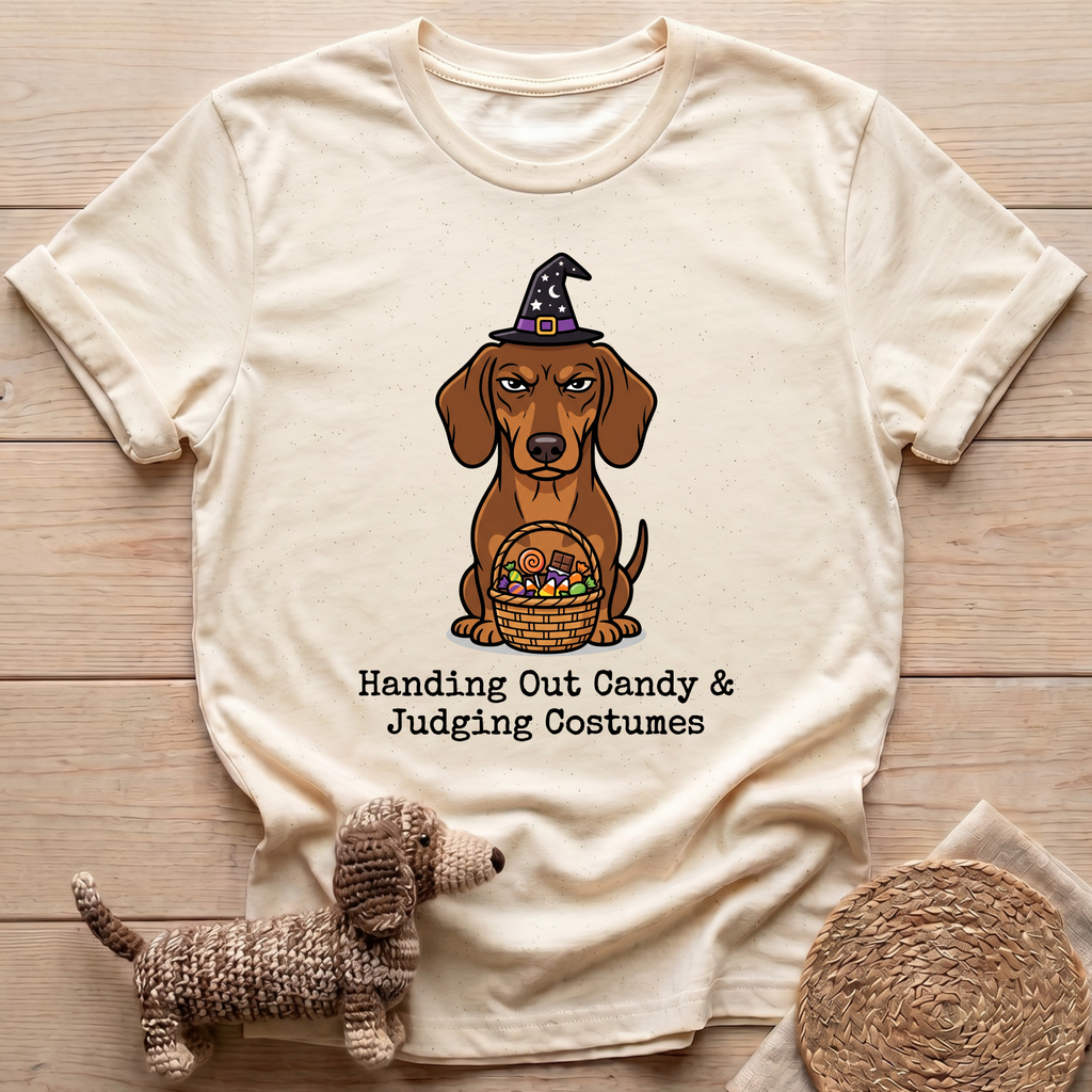 Judging Costumes T-Shirt