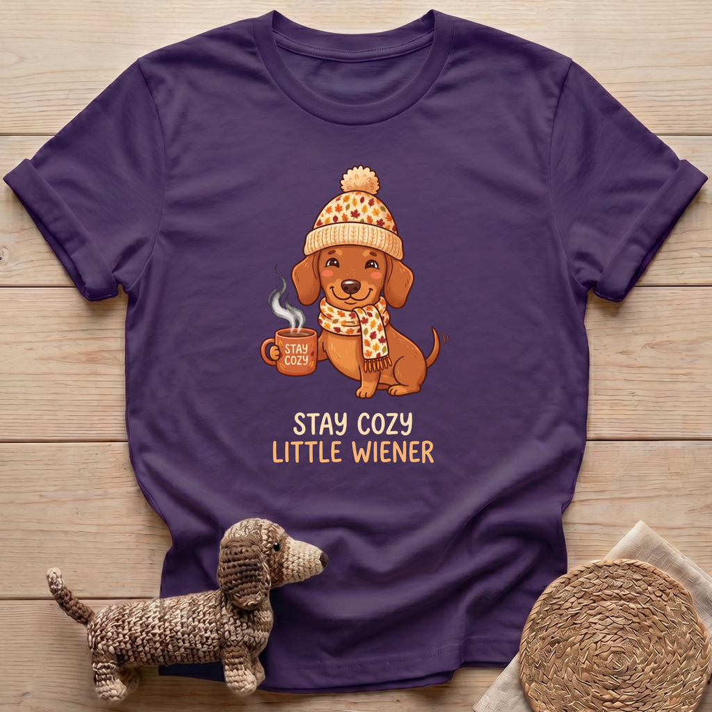 Stay Cozy T-Shirt