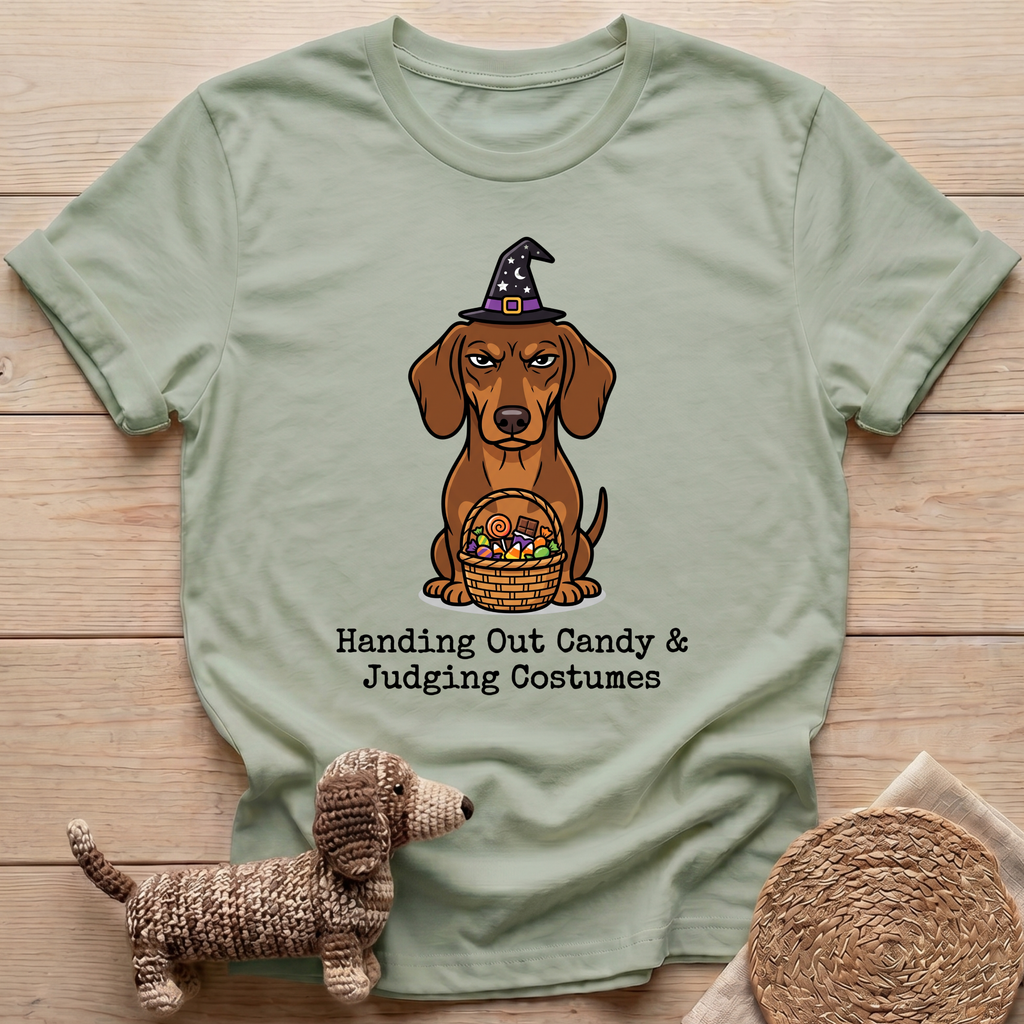 Judging Costumes T-Shirt