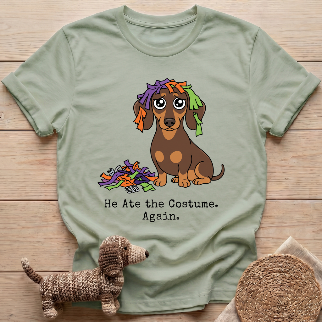 He Ate The Costume T-Shirt